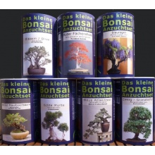 Seedeo Das kleine Bonsai Anzuchtset Roter Fcherahorn Bild 1