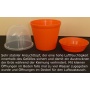 Seedeo Anzuchtset Fledermausblumen Geschenkedition Bild 1