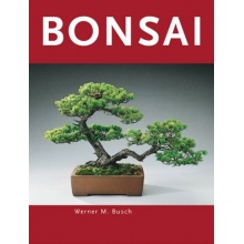 Seedeo Bonsai Anzuchtset Fernost Roter Fcherahorn Bild 1