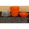 Seedeo Anzuchtset Venus Fliegenfalle Dionaea muscipula Bild 1
