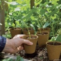Anzuchttpfe,rund,verschiedene Gren,Garten Schlter Bild 1