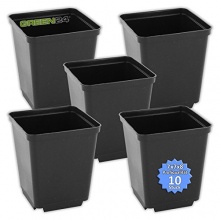 10 Stück Anzuchttöpfe GREEN24 Vierecktopf 7x7x8 cm Bild 1