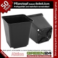 50 Stck Anzuchtpfe GREEN24 als Vierecktopf  Bild 1
