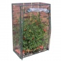 Tomaten-Foliengewchshaus von OFF PRICE STORE Bild 1