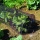Gardman Garden Folientunnel Gewchshaus Bild 1