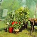 6m x 3m Folientunnel von Crocodile Trading Bild 1