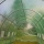 6m x 3m Folientunnel von Crocodile Trading Bild 2
