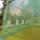 6m x 3m Folientunnel von Crocodile Trading Bild 3
