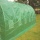 6m x 3m Folientunnel von Crocodile Trading Bild 4