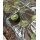 Gardman Folientunnel Frhbeet-Tunnel mit PVC-Abdeckung Bild 2