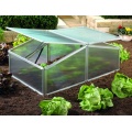 Vitavia Frhbeet Gaia XS HKP 4 mm 0,60 m2, EPH Schmidt Bild 1