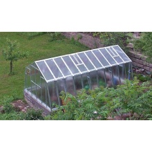 TOP Gewächshaus mit Glas stabil 3,03 x 6,01 m Bild 1