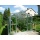 TOP Gewchshaus mit Glas stabil 2,5 x 3,05 m Bild 2