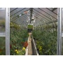 TOP Gewchshaus mit Glas stabil 3,03 x 4,50 m Bild 1