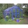 TOP Gewchshaus mit Glas stabil 3,03 x 4,50 m Bild 2
