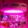 180W LED Pflanzenleuchte Grow Lamp Panel,arespark Bild 5