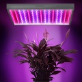 2er,3er Set LED-Pflanzenlampen 14Watt,225 LEDs,Jago Bild 1