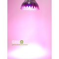 15W LED Pflanzen Grow Lampe E27 Pflanzenlampe von GBK Bild 1