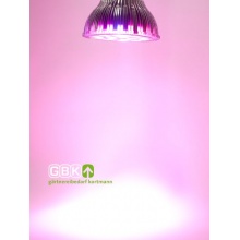 15W LED Pflanzen Grow Lampe E27 Pflanzenlampe von GBK Bild 1