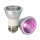 MR16 LED Indoor Pflanzenlampe, 6 Watt, Aceple Bild 4