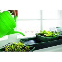 Bio Green Aufzuchtartikel Hollandia Zimmergewchshaus  Bild 1