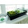 Bio Green Aufzuchtartikel Hollandia Zimmergewchshaus  Bild 2