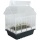Esschert Design Zimmergewchshaus, Beetkasten  Bild 2