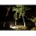 LE 30W LED Flutbeleuchtung von Lighting EVER Bild 2