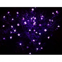 Solar Lichterkette,7m,50 LEDs,Lighting EVER Bild 1