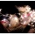 LED Lichterbndel Micro Leds Lichterkette,Home Point Bild 2