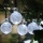 InnooTech 30 LED Solar Globe Garten Lichterkette,4,5m Bild 1