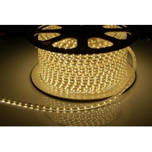 LED Streifen LED-Lichtschlauch mit 60 LEDs/m SANRON Bild 1