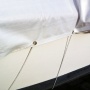 Abdeckplane Abdeckplane,Pflanzenschutz,2x3m,wellenshop Bild 1
