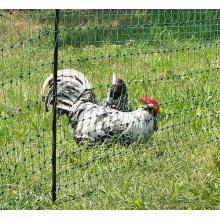 Kerbl Gartennetz Geflgelnetz 25 m, 112 cm  Bild 1