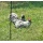 Kerbl Gartennetz Geflgelnetz 25 m, 112 cm  Bild 1