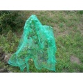 Vogelschutznetz 10x2m PE grn Laubschutznetz Gartennetz Teichnetz Obstbaumnetz Bild 1