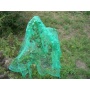 Vogelschutznetz 10x2m PE grn Laubschutznetz Gartennetz Teichnetz Obstbaumnetz Bild 1