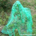 Vogelschutznetz 5x4m HDPE Gartennetz von FILMER Bild 1