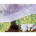 Filmer 25037 Garten-Vlies, 10 x 1.5 m, wei Bild 1