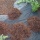 Unkrautvlies 2m Breite Gartenvlies von Texton Bild 4