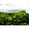 Noor Schutzvlies PP, Gartenvlies, 1,5 x 10,00 m Bild 1