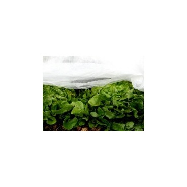 Noor Schutzvlies PP, Gartenvlies, 1,5 x 10,00 m Bild 1