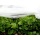 Noor Schutzvlies PP, Gartenvlies, 1,5 x 10,00 m Bild 1