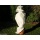 6,4m2 Wintervlies 3,2 x 2m Gartenvlies von Texton Bild 5