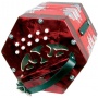Scarlatti SC-20R Concertina Bild 1