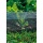 Beckmann SZ Schneckenzaun 4 m,Schneckenabwehr Bild 4