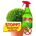 Universal Insektenschutz BAYER AF sprhfertig, 1 L Bild 1