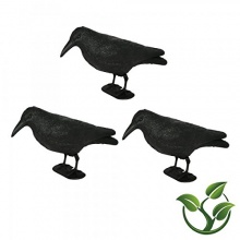 3 x Rabe, Krhe, Taubenschreck,Vogel Abwehr von mgc24 Bild 1