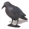 Star 140519 Rabe schwarz 38 cm,Vogel Abwehr Bild 1