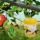 Gardigo Wespenfalle 2er Set Wespenabwehr ohne Gift Bild 3